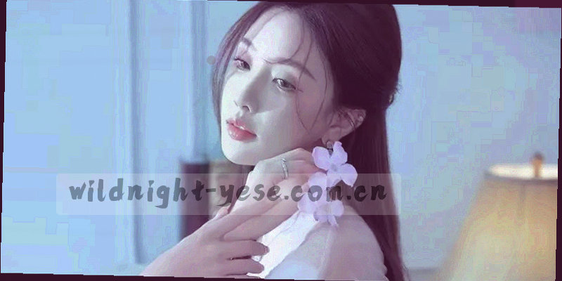月光照耀的山脊，暗夜中一条清晰的脊线向前延伸